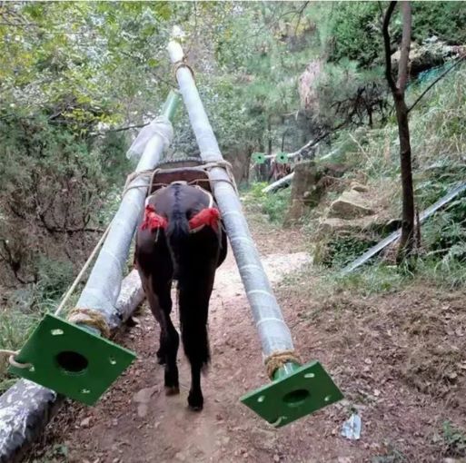 福建骡马运输队