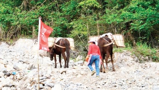 福建骡子运输队